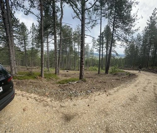 Na prodaju zemljiste ukupne povrsine 80 ari, Tometino polje - Divčibar